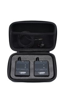 IN EAR SYSTEM PMS MINI